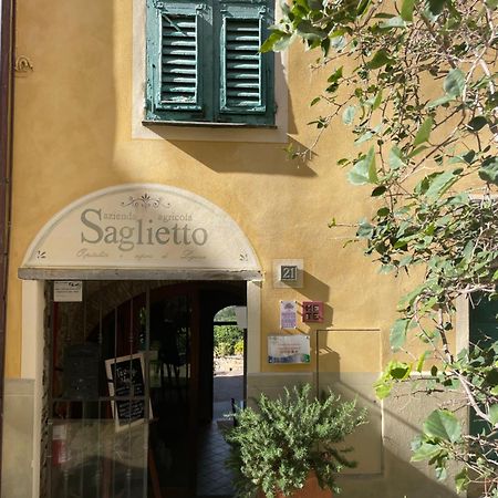 Uliveto Saglietto Agriturismo A Poggi Apartments Империя Экстерьер фото
