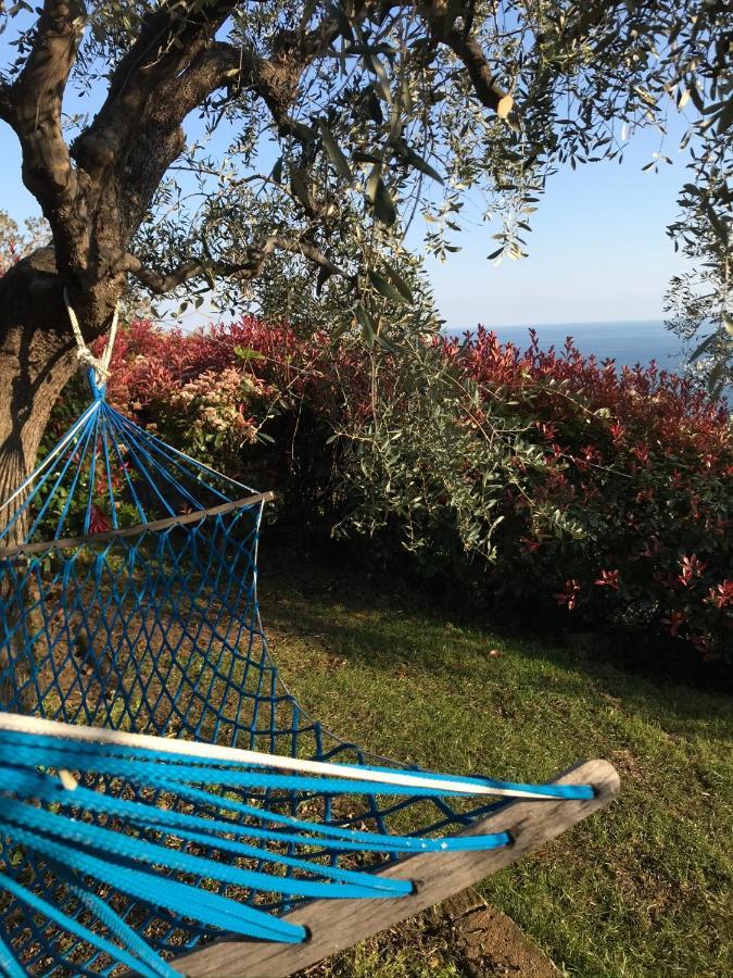 Uliveto Saglietto Agriturismo A Poggi Apartments Империя Экстерьер фото